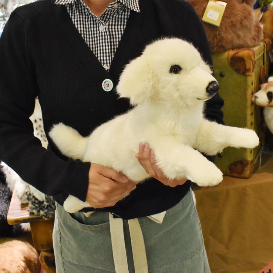 BH6581 コイヌ HANSA　 いぬ 犬 こども 子供 ぬいぐるみ リアル | HANSA（ぬいぐるみ） | 07