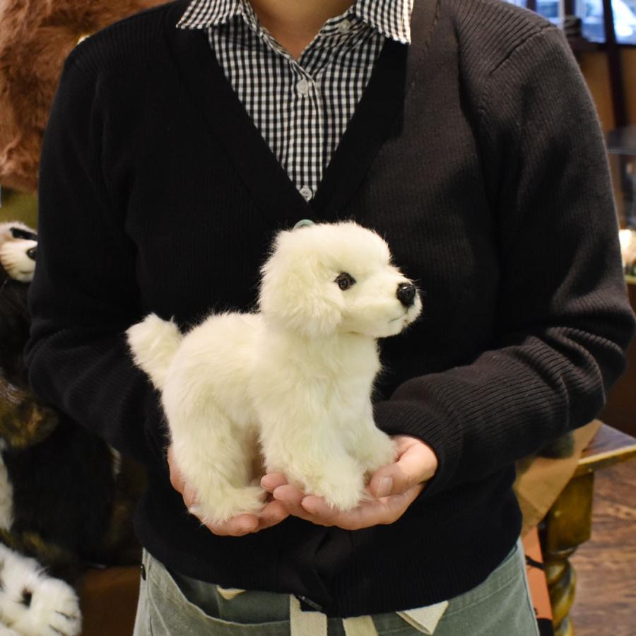 BH6583 子犬 HANSA　こいぬ コイヌ こども 子供 ぬいぐるみ リアル | HANSA（ぬいぐるみ） | 07
