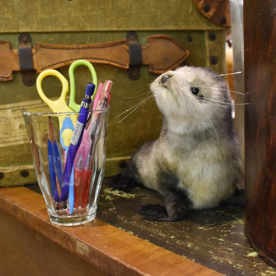 HANSA 森林地帯 シリーズ ブッシュバック 小鹿 ぬいぐるみ 楽天市場】HANSA 4936 バンビ30 H30(cm) ぬいぐるみ ハンサ 鹿