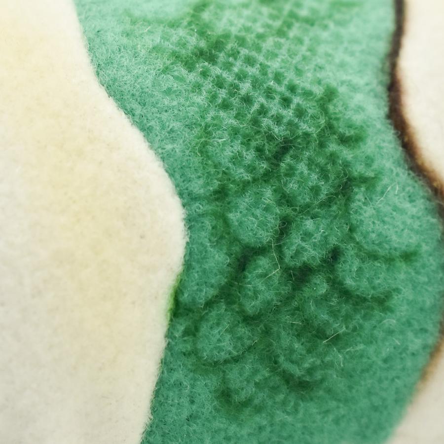 BH6706 フィジーイグアナ HANSA　ふぃじーいぐあな ぬいぐるみ リアル | HANSA（ぬいぐるみ） | 05