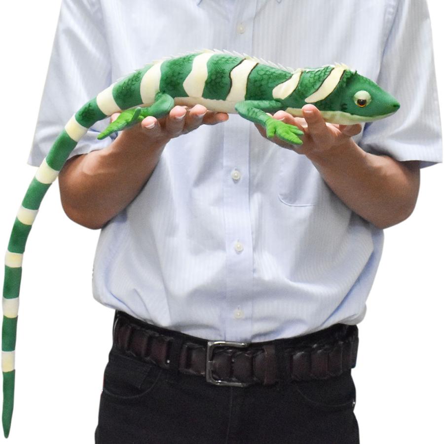 BH6706 フィジーイグアナ HANSA　ふぃじーいぐあな ぬいぐるみ リアル | HANSA（ぬいぐるみ） | 09