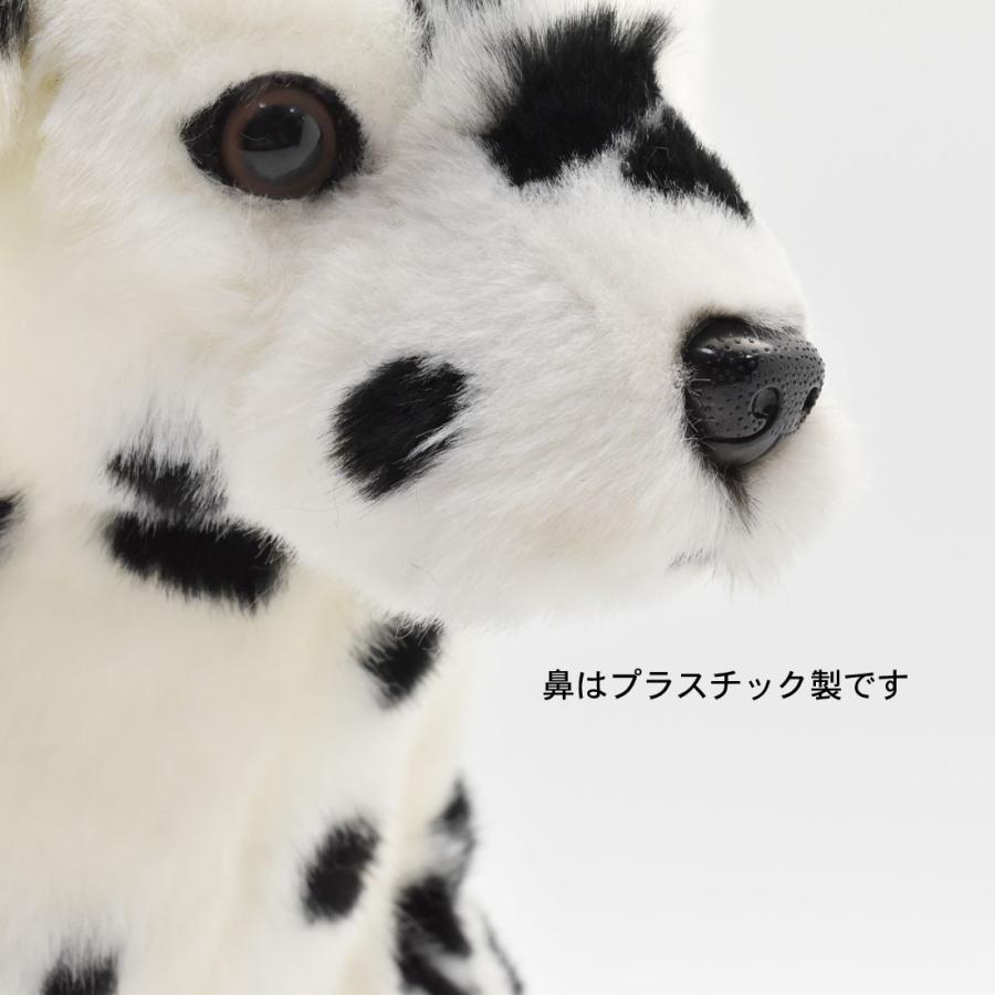 BH6725 ダルメシアン HANSA　だるめしあん いぬ イヌ 犬 ぬいぐるみ リアル おもちゃ 置物｜dearbear｜07