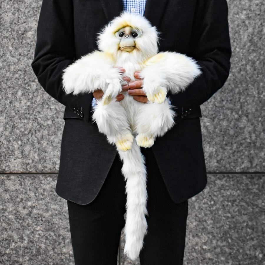 BH6765 シシバナザル HANSA　ししばなざる 獅子鼻猿 さる サル 猿 ぬいぐるみ リアル | HANSA（ぬいぐるみ） | 07