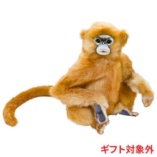 BH6766 シシバナザル HANSA　ししばなざる 獅子鼻猿 さる サル 猿 ぬいぐるみ リアル | HANSA（ぬいぐるみ）