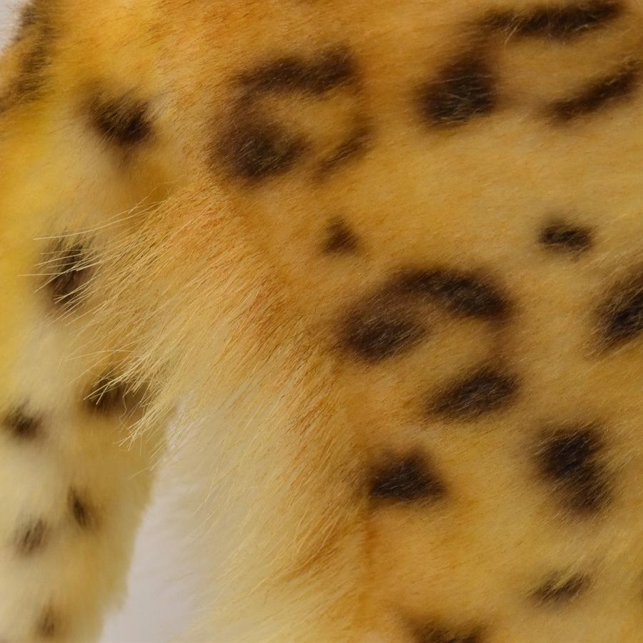 BH6778 アムールヒョウ HANSA　あむーるひょう 豹 ぬいぐるみ リアル | HANSA（ぬいぐるみ） | 04