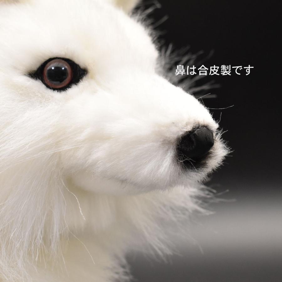 HANSA BH6822 ホッキョクギツネ ほっきょくぎつね 北極狐 きつね