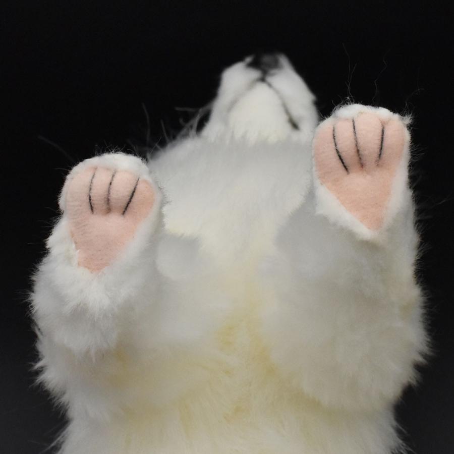 BH6823 ホッキョクギツネ HANSA　ほっきょくぎつね 北極狐 きつね キツネ ぬいぐるみ リアル | HANSA（ぬいぐるみ） | 05