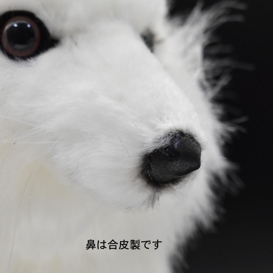 BH6823 ホッキョクギツネ HANSA　ほっきょくぎつね 北極狐 きつね キツネ ぬいぐるみ リアル | HANSA（ぬいぐるみ） | 06