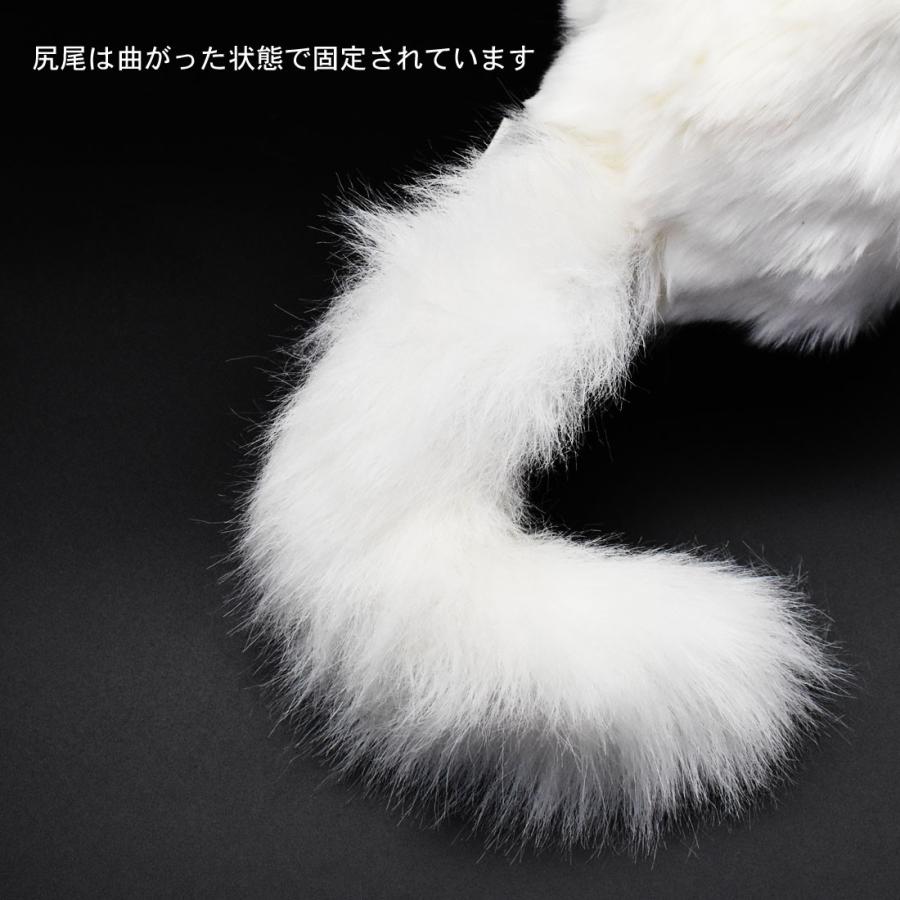 BH6823 ホッキョクギツネ HANSA　ほっきょくぎつね 北極狐 きつね キツネ ぬいぐるみ リアル | HANSA（ぬいぐるみ） | 07