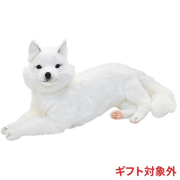 BH6828 ホッキョクギツネ HANSA　ほっきょくぎつね 北極狐 きつね キツネ ぬいぐるみ リアル | HANSA（ぬいぐるみ）