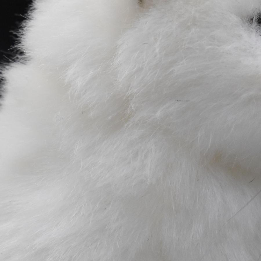 BH6830 ホッキョクギツネ 仔 HANSA　ほっきょくぎつね 北極狐 きつね キツネ こども 子供 ぬいぐるみ リアル | HANSA（ぬいぐるみ） | 04