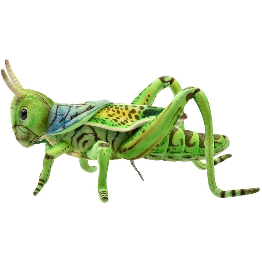 BH6879 バッタ グリーン HANSA　ばった 飛蝗 昆虫 むし ぬいぐるみ リアル | HANSA（ぬいぐるみ） | 01