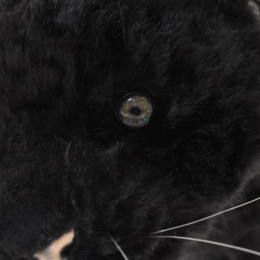 BH7006 クロヒョウ HANSA　くろひょう 黒豹 ぬいぐるみ リアル | HANSA（ぬいぐるみ） | 06