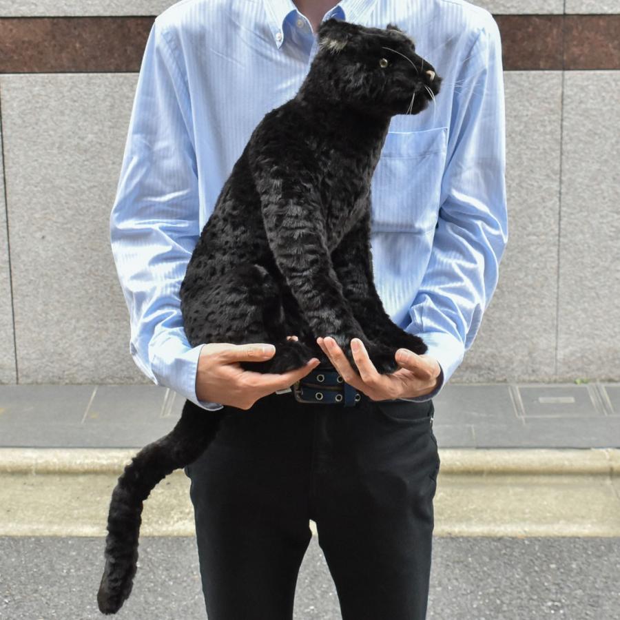 BH7007 クロヒョウ HANSA　くろひょう 黒豹 ぬいぐるみ リアル | HANSA（ぬいぐるみ） | 10