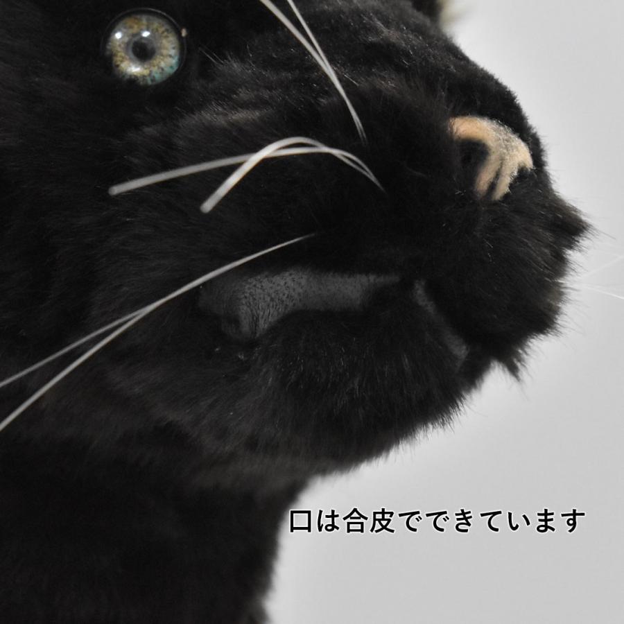 BH7007 クロヒョウ HANSA　くろひょう 黒豹 ぬいぐるみ リアル | HANSA（ぬいぐるみ） | 08