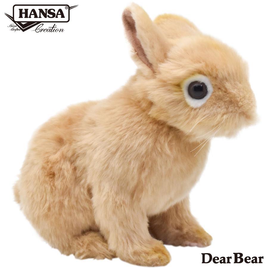 Hansa ハンサ ネザーランド ドワーフ うさぎ 7022 リアル 動物 ぬいぐるみ プレゼント ギフト 7022 Dear Bear 通販 Yahoo ショッピング