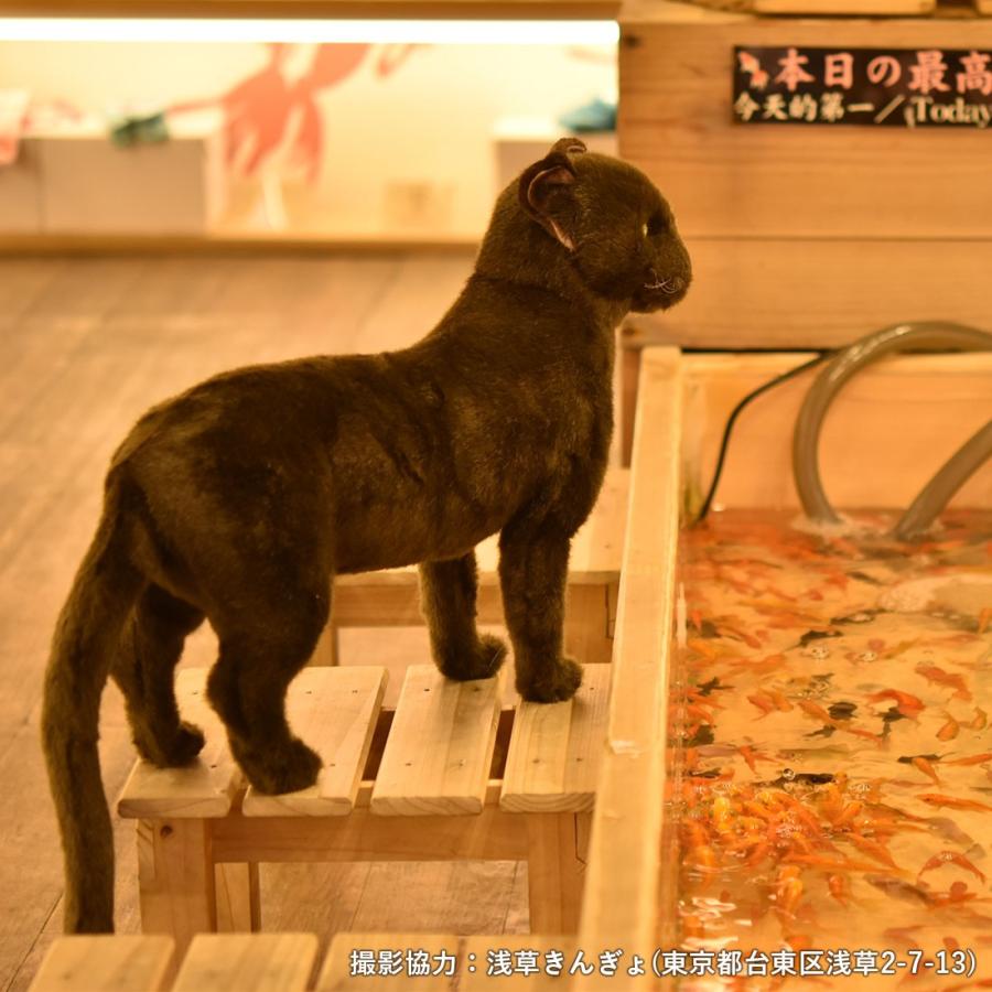 BH7027 クロネコ HANSA　くろねこ 黒猫 ぬいぐるみ リアル | HANSA（ぬいぐるみ） | 08