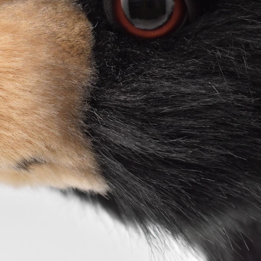 BH7040 クロクマ 仔 HANSA　くろくま 黒熊 こども 子供 ぬいぐるみ リアル | HANSA（ぬいぐるみ） | 05