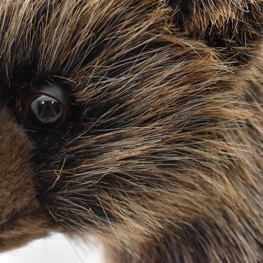 BH7041 ハイイログマ 仔 HANSA　はいいろぐま くま 熊 こども 子供 ぬいぐるみ リアル | HANSA（ぬいぐるみ） | 04