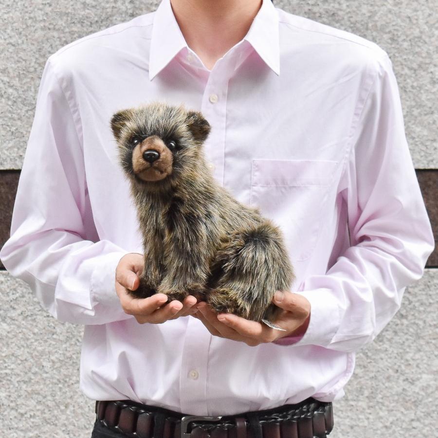 BH7041 ハイイログマ 仔 HANSA　はいいろぐま くま 熊 こども 子供 ぬいぐるみ リアル | HANSA（ぬいぐるみ） | 07