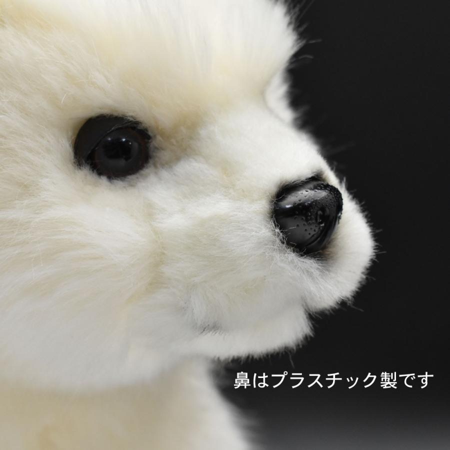 BH7042 ホッキョクグマ 仔 HANSA　ほっきょくぐま くま 北極熊 こども 子供 ぬいぐるみ リアル 爆買 母の日 | HANSA（ぬいぐるみ） | 06