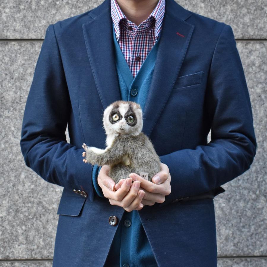 BH7043 スローロリス HANSA　すろーろりす さる サル 猿 ぬいぐるみ リアル | HANSA（ぬいぐるみ） | 08