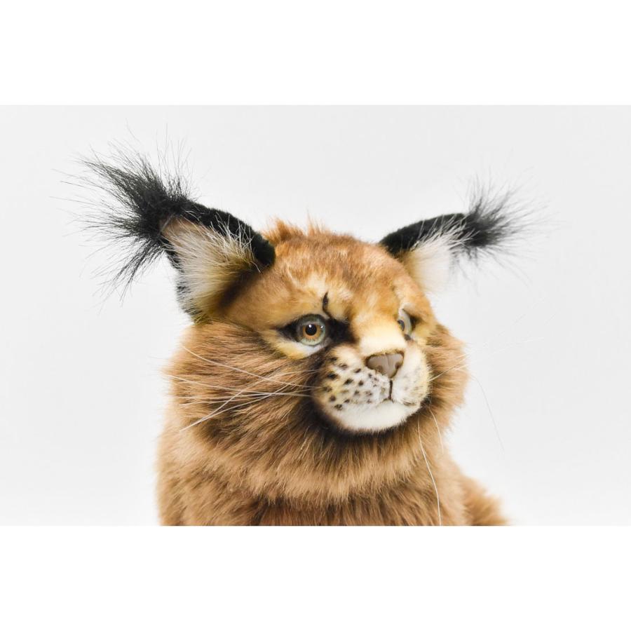 BH7047 カラカル HANSA　からかる ねこ ネコ 猫 ぬいぐるみ リアル | HANSA（ぬいぐるみ） | 03