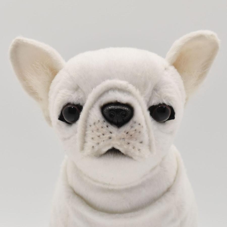 BH7061 フレンチブルドッグ HANSA　ふれんちぶるどっぐ いぬ イヌ 犬 ぬいぐるみ リアル | HANSA（ぬいぐるみ） | 03