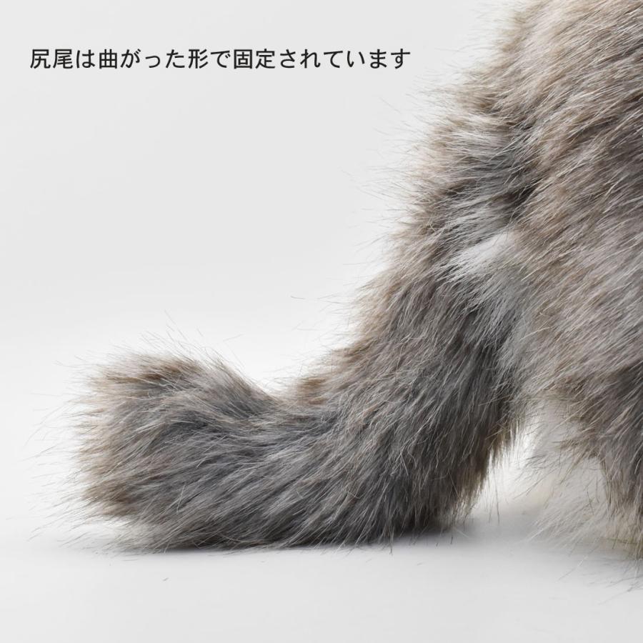 BH7077 マヌルネコ HANSA　まぬるねこ ぬいぐるみ リアル | HANSA（ぬいぐるみ） | 07