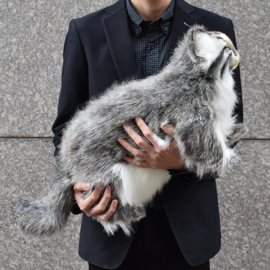 BH7077 マヌルネコ HANSA　まぬるねこ ぬいぐるみ リアル | HANSA（ぬいぐるみ） | 08