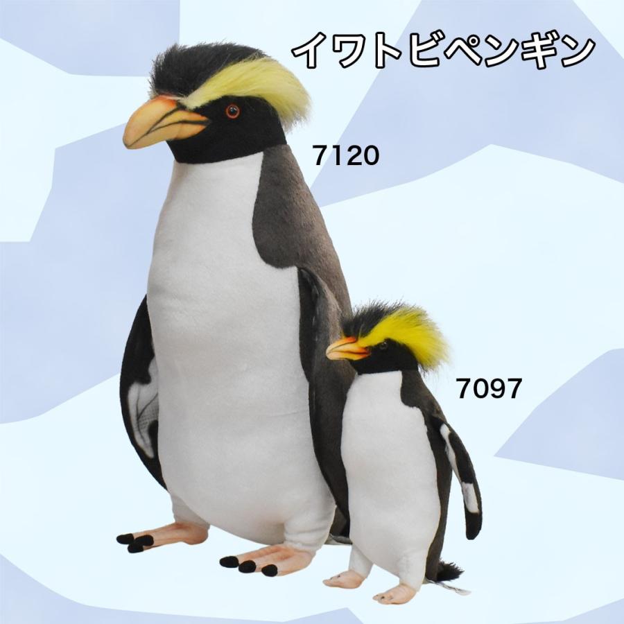 Hansa ハンサ イワトビペンギン 7097 リアル 動物 ぬいぐるみ プレゼント ギフト 母の日 父の日 7097 Dear Bear 通販 Yahoo ショッピング