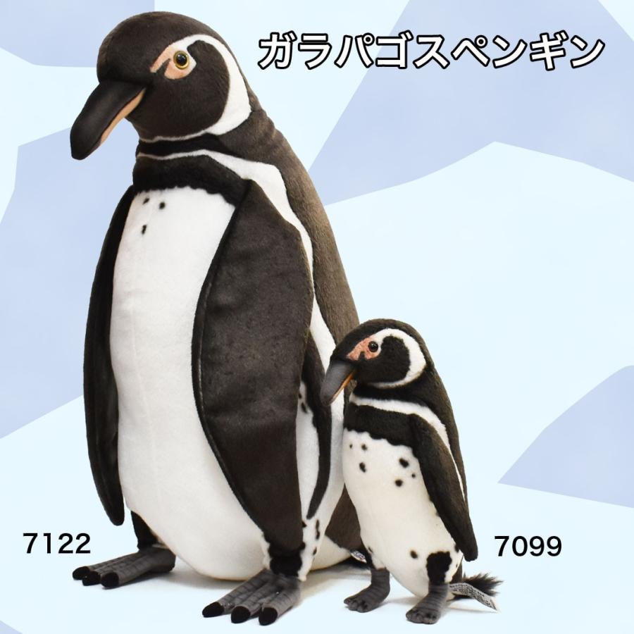 BH7122 ガラパゴスペンギン HANSA　がらぱごすぺんぎん ぬいぐるみ リアル 爆買 母の日 | HANSA（ぬいぐるみ） | 08