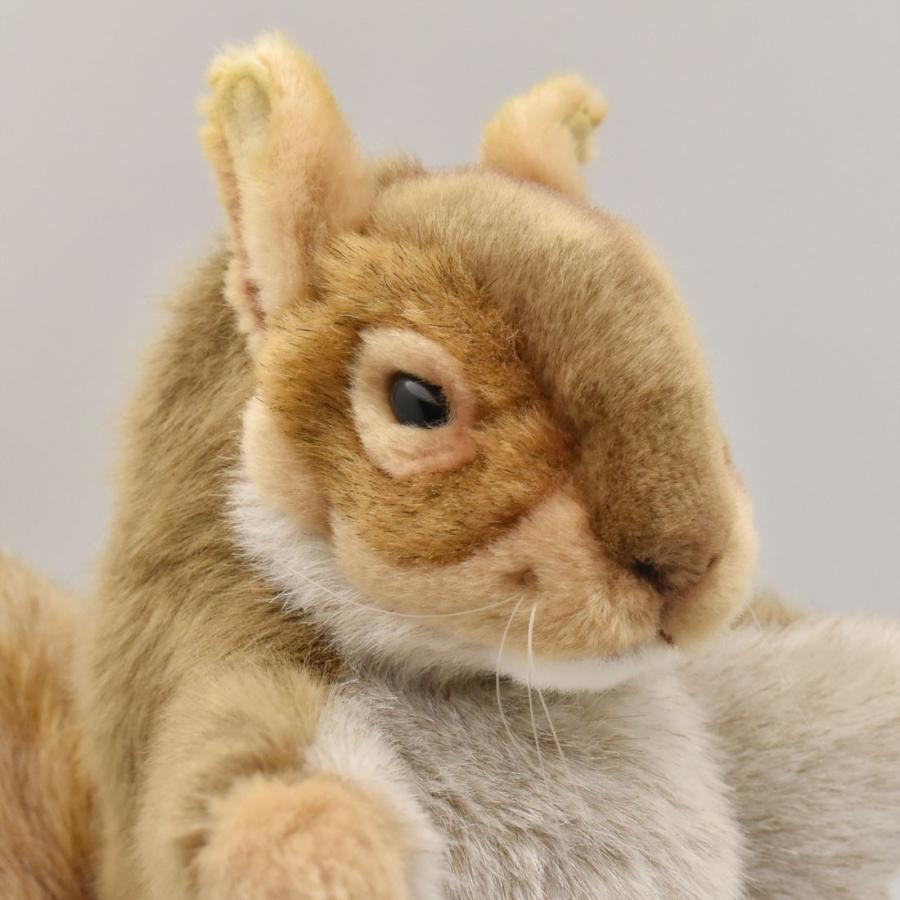 BH7162 アカリス ハンドパペット HANSA　あかりす 栗鼠 リアル | HANSA（ぬいぐるみ） | 03