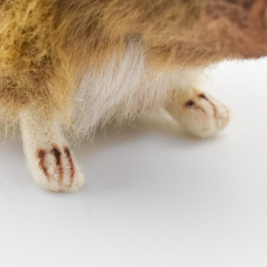 Hansa ハンサ ハネジネズミ 7233 リアル 動物 ぬいぐるみ プレゼント ギフト 7233 Dear Bear 通販 Yahoo ショッピング