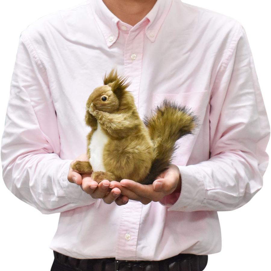 BH7238 エゾリス HANSA　りす 栗鼠 ぬいぐるみ リアル | HANSA（ぬいぐるみ） | 08