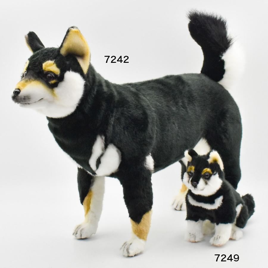 HANSA（ぬいぐるみ） BH7242 クロシバ HANSA 黒柴 くろしば いぬ イヌ