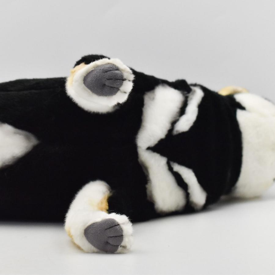 BH7242 クロシバ HANSA　黒柴 くろしば いぬ イヌ 犬 ぬいぐるみ リアル | HANSA（ぬいぐるみ） | 06