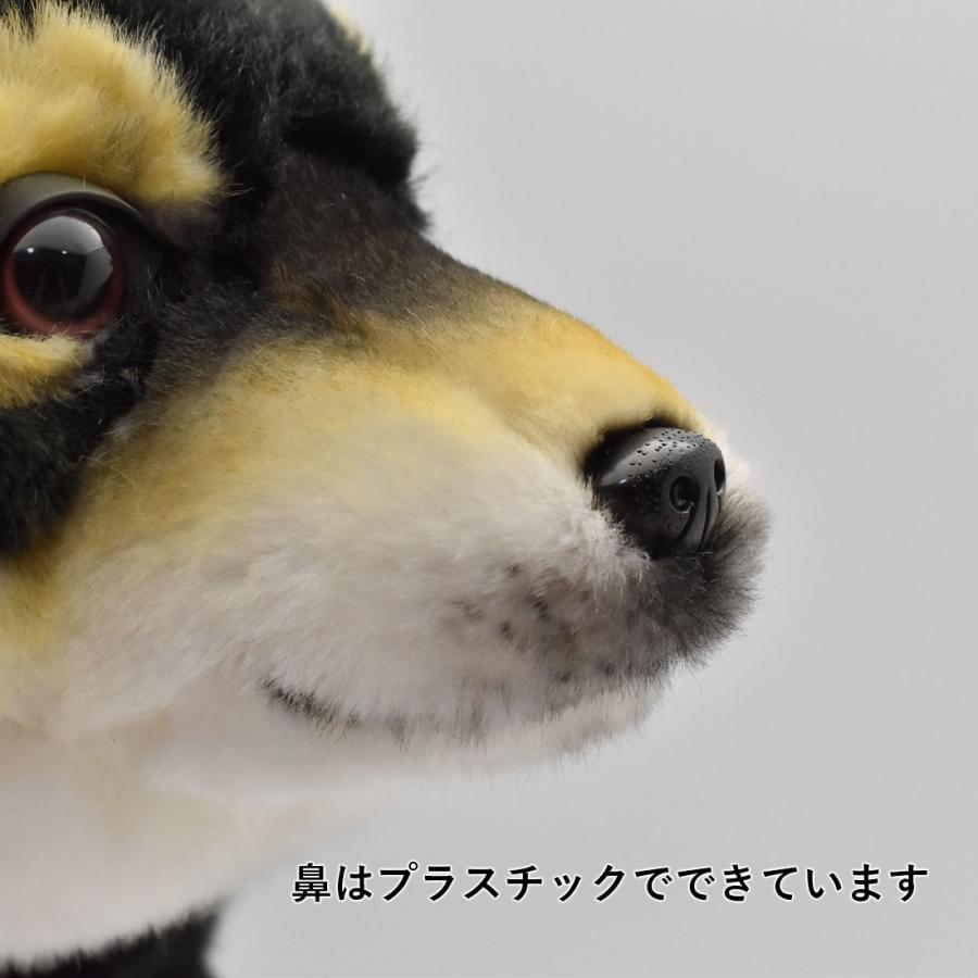 BH7242 クロシバ HANSA　黒柴 くろしば いぬ イヌ 犬 ぬいぐるみ リアル | HANSA（ぬいぐるみ） | 07