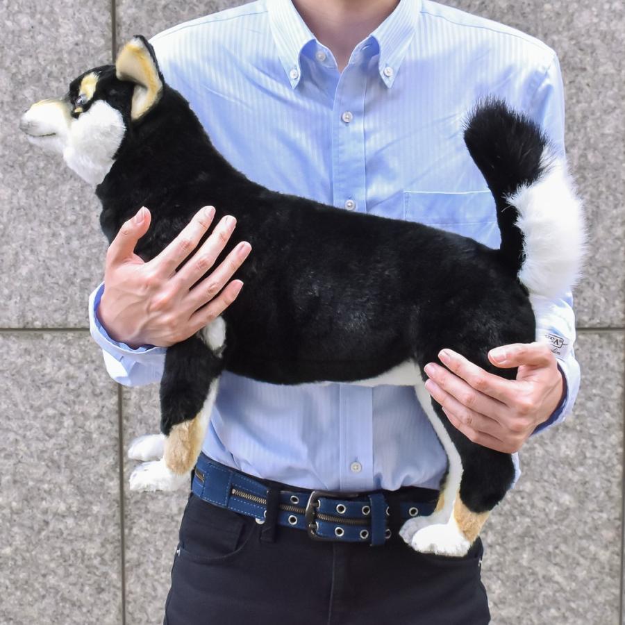BH7242 クロシバ HANSA　黒柴 くろしば いぬ イヌ 犬 ぬいぐるみ リアル | HANSA（ぬいぐるみ） | 09