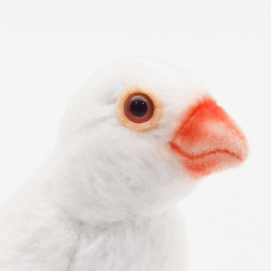 BH7244 シロブンチョウ HANSA　しろぶんちょう 白文鳥 とり トリ 鳥 ぬいぐるみ リアル | HANSA（ぬいぐるみ） | 03