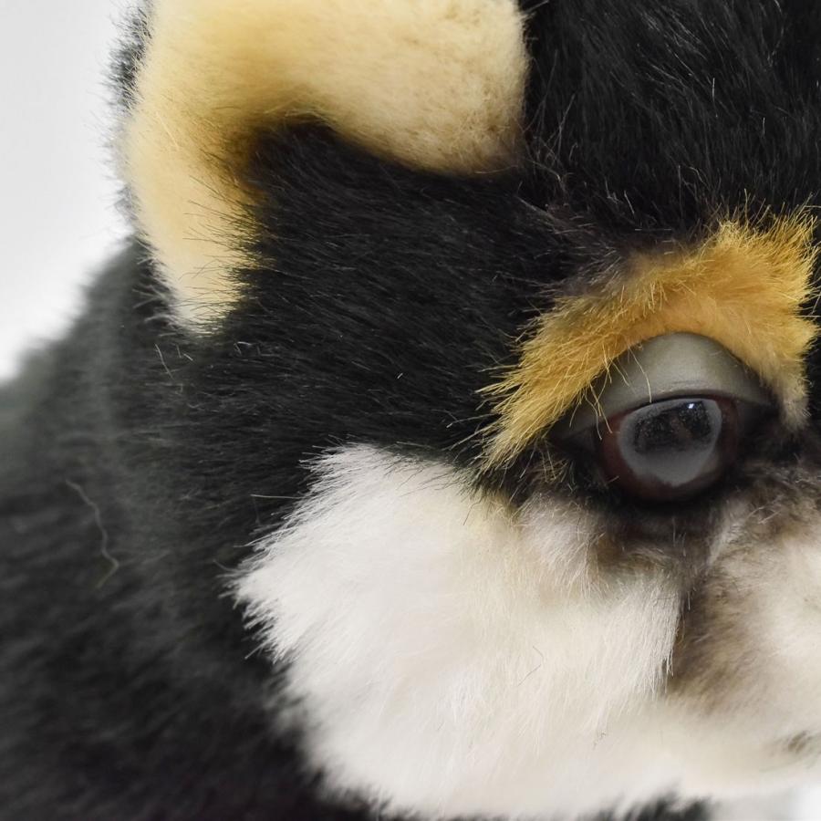 BH7249 クロシバ コ HANSA　黒柴 くろしば いぬ イヌ 犬 こども 子供 ぬいぐるみ リアル | HANSA（ぬいぐるみ） | 04