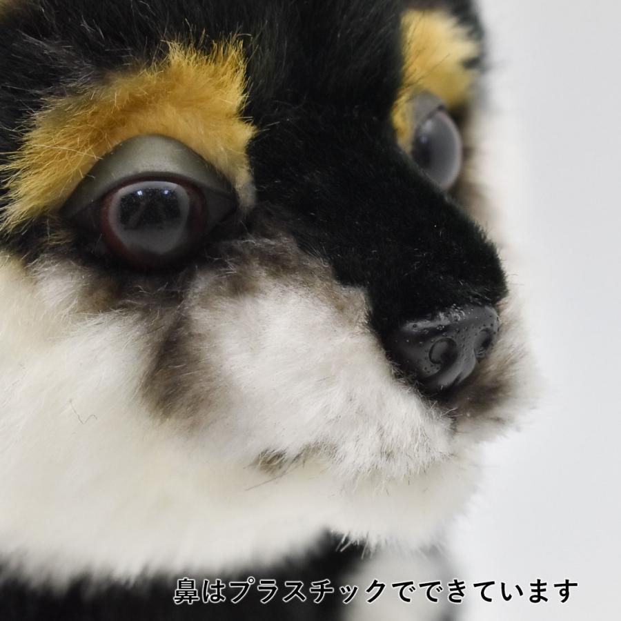 BH7249 クロシバ コ HANSA　黒柴 くろしば いぬ イヌ 犬 こども 子供 ぬいぐるみ リアル | HANSA（ぬいぐるみ） | 06