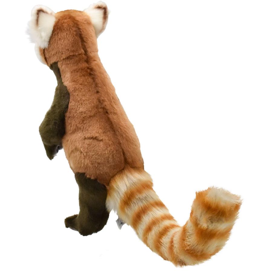 BH7252 レッサーパンダ HANSA　れっさーぱんだ 小熊猫 ぬいぐるみ リアル | HANSA（ぬいぐるみ） | 02