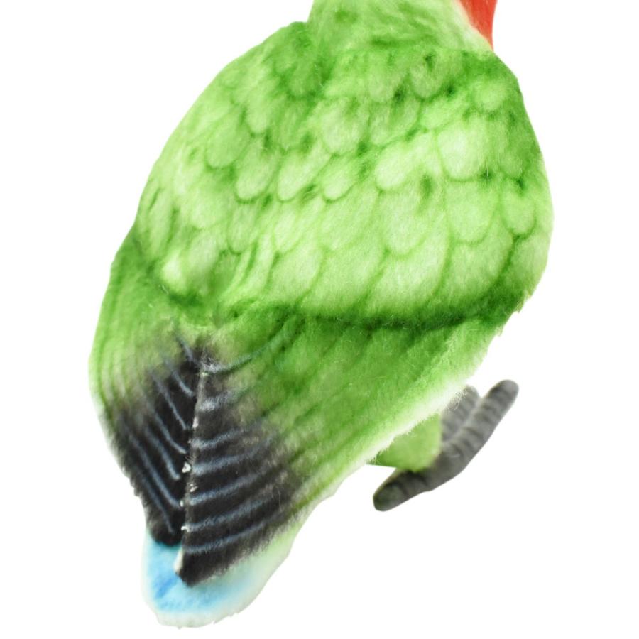 BH7254 コザクラインコ HANSA　こざくらいんこ とり トリ 鳥 ぬいぐるみ リアル 爆買 母の日 | HANSA（ぬいぐるみ） | 04