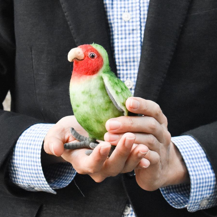 BH7254 コザクラインコ HANSA　こざくらいんこ とり トリ 鳥 ぬいぐるみ リアル 爆買 母の日 | HANSA（ぬいぐるみ） | 07