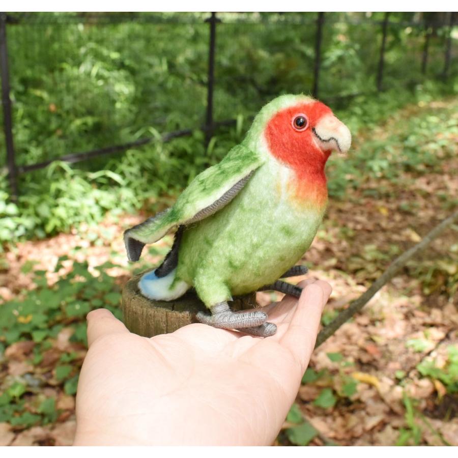 BH7254 コザクラインコ HANSA　こざくらいんこ とり トリ 鳥 ぬいぐるみ リアル 爆買 母の日 | HANSA（ぬいぐるみ） | 08