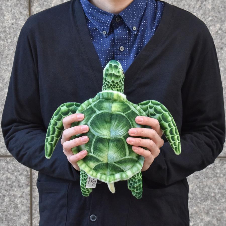 BH7255 アオウミガメ HANSA　あおうみがめ かめ カメ 亀 ぬいぐるみ リアル | HANSA（ぬいぐるみ） | 07