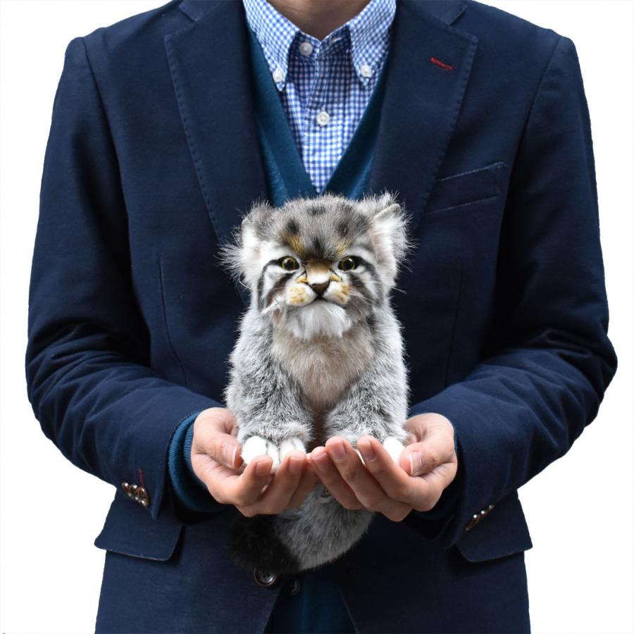 BH7299 マヌルネコ 仔 HANSA　まぬるねこ こども 子供 ぬいぐるみ リアル | HANSA（ぬいぐるみ） | 06