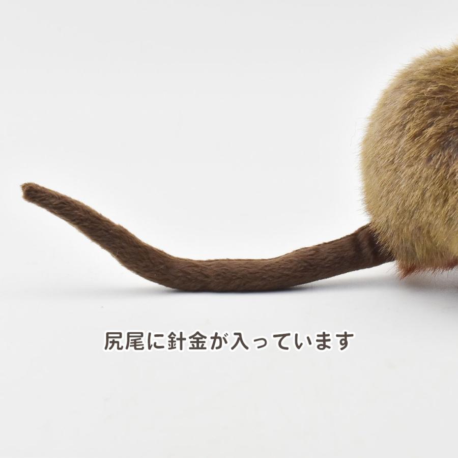 BH7362 クアッカワラビー HANSA　くあっかわらびー ぬいぐるみ リアル | HANSA（ぬいぐるみ） | 07