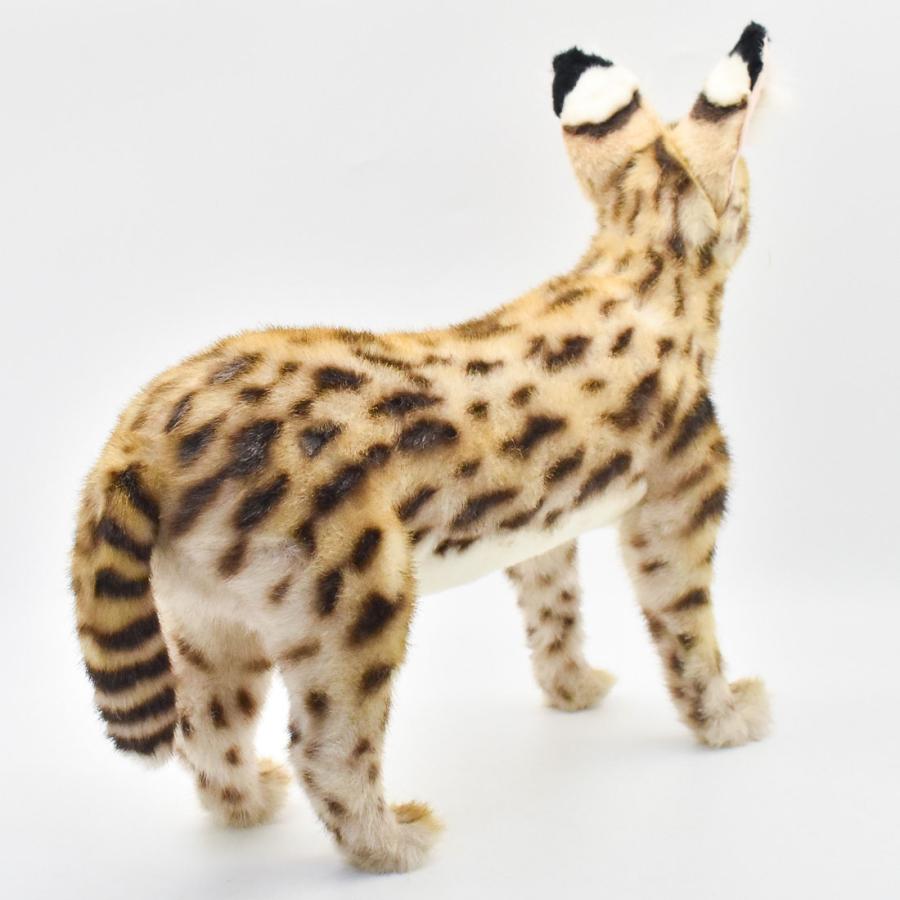BH7372 サーバルキャット HANSA　さーばるきゃっと ねこ ネコ 猫 ぬいぐるみ リアル | HANSA（ぬいぐるみ） | 02
